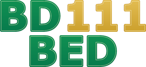 bd111bedbd.com Logo